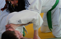 Judo2