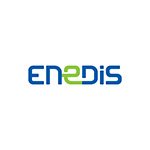 Handisup - Enedis - Logo