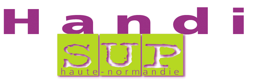 1er logo Handisup